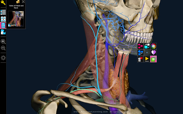 3D Anatomy Learning from Chrome web store to be run with OffiDocs Chromium online 3D Anatomy Learning from Chrome web store to be run with OffiDocs Chromium online