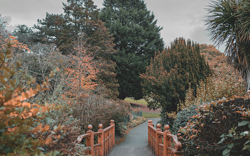 A Gloomy Day at a Park from Chrome web store to be run with OffiDocs Chromium online A Gloomy Day at a Park from Chrome web store to be run with OffiDocs Chromium online