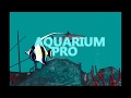 AQUARIUM PRO (New Tab) from Chrome web store to be run with OffiDocs Chromium online AQUARIUM PRO (New Tab) from Chrome web store to be run with OffiDocs Chromium online