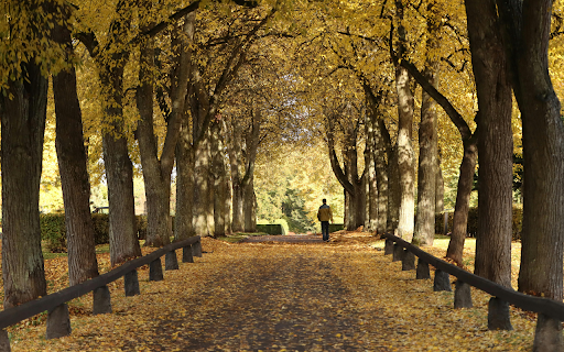 Autumn Stroll Through Park from Chrome web store to be run with OffiDocs Chromium online Autumn Stroll Through Park from Chrome web store to be run with OffiDocs Chromium online