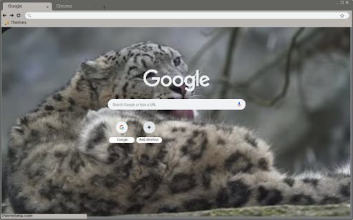 Bao tuyet from Chrome web store to be run with OffiDocs Chromium online Bao tuyet from Chrome web store to be run with OffiDocs Chromium online