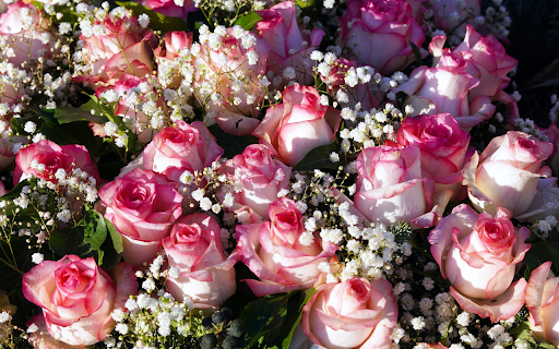 Beautiful rose bouquet from Chrome web store to be run with OffiDocs Chromium online Beautiful rose bouquet from Chrome web store to be run with OffiDocs Chromium online