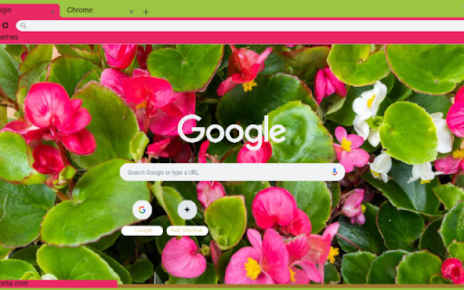 Begonia from Chrome web store to be run with OffiDocs Chromium online Begonia from Chrome web store to be run with OffiDocs Chromium online