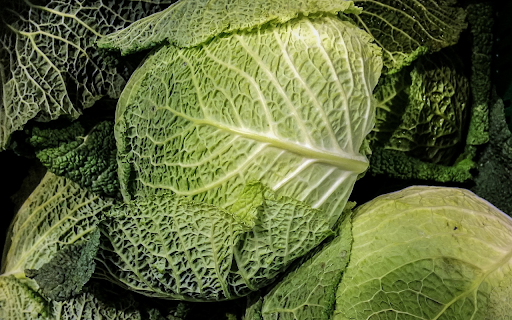 Big mustard plants from Chrome web store to be run with OffiDocs Chromium online Big mustard plants from Chrome web store to be run with OffiDocs Chromium online