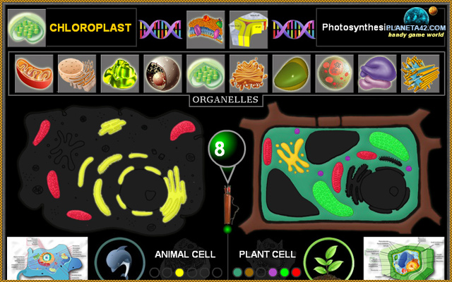 Biology Cell Puzzle from Chrome web store to be run with OffiDocs Chromium online Biology Cell Puzzle from Chrome web store to be run with OffiDocs Chromium online