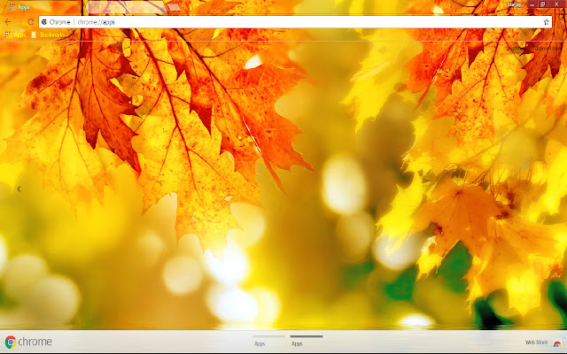 Bokeh Colorful Fall Leaf from Chrome web store to be run with OffiDocs Chromium online Bokeh Colorful Fall Leaf from Chrome web store to be run with OffiDocs Chromium online