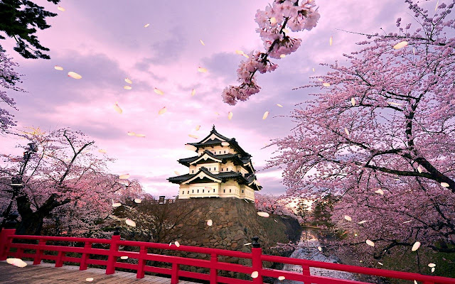 Cherry Blossom Petals from Chrome web store to be run with OffiDocs Chromium online Cherry Blossom Petals from Chrome web store to be run with OffiDocs Chromium online