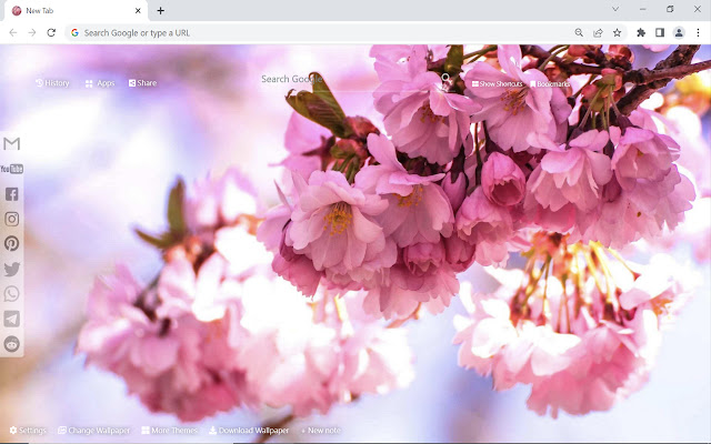 Cherry Blossom Wallpaper HD New Tab from Chrome web store to be run with OffiDocs Chromium online Cherry Blossom Wallpaper HD New Tab from Chrome web store to be run with OffiDocs Chromium online
