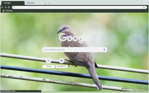 Chim Bo Cau Rung from Chrome web store to be run with OffiDocs Chromium online Chim Bo Cau Rung from Chrome web store to be run with OffiDocs Chromium online