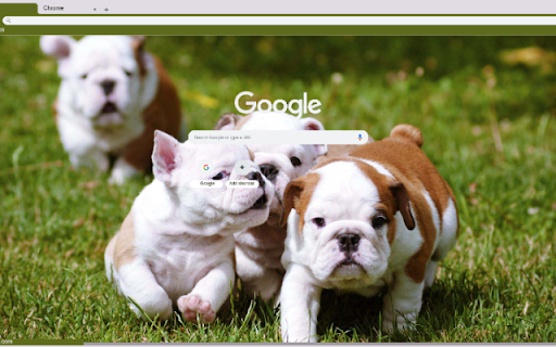 Cho from Chrome web store to be run with OffiDocs Chromium online Cho from Chrome web store to be run with OffiDocs Chromium online