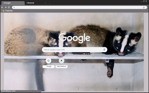 Chon rung from Chrome web store to be run with OffiDocs Chromium online Chon rung from Chrome web store to be run with OffiDocs Chromium online