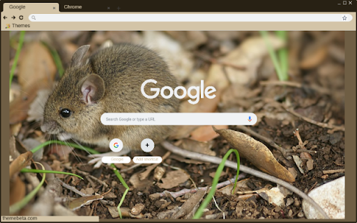 Chuot duoi dai from Chrome web store to be run with OffiDocs Chromium online Chuot duoi dai from Chrome web store to be run with OffiDocs Chromium online