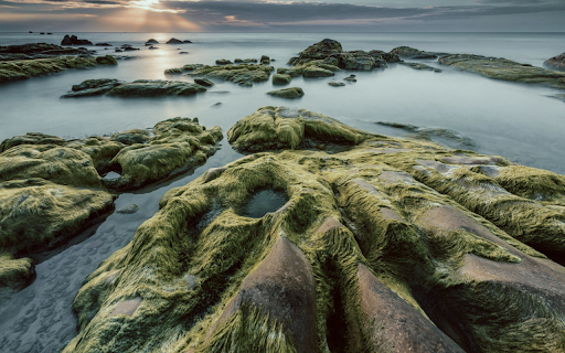 Coastal Serenity from Chrome web store to be run with OffiDocs Chromium online Coastal Serenity from Chrome web store to be run with OffiDocs Chromium online