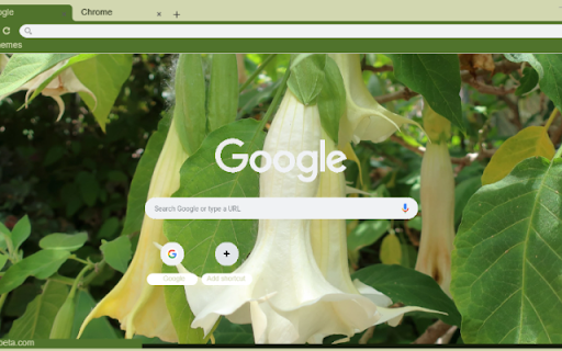 Datura from Chrome web store to be run with OffiDocs Chromium online Datura from Chrome web store to be run with OffiDocs Chromium online