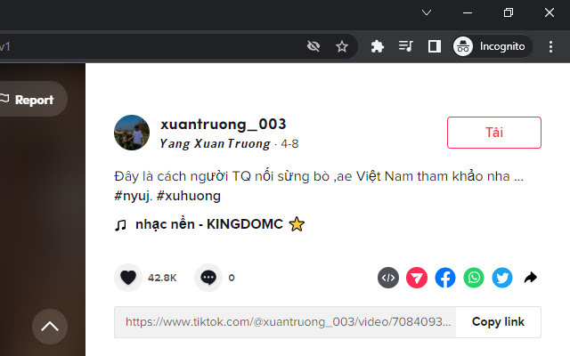DNTik from Chrome web store to be run with OffiDocs Chromium online DNTik from Chrome web store to be run with OffiDocs Chromium online