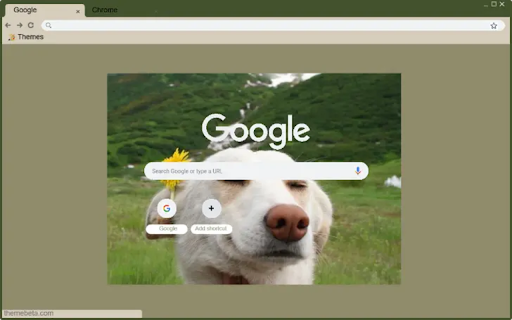 dog enjoying from Chrome web store to be run with OffiDocs Chromium online dog enjoying from Chrome web store to be run with OffiDocs Chromium online