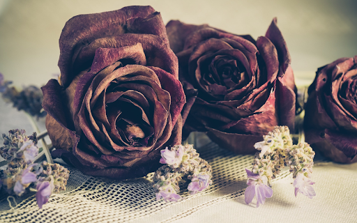 Dried flowers from Chrome web store to be run with OffiDocs Chromium online Dried flowers from Chrome web store to be run with OffiDocs Chromium online