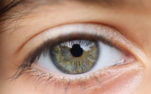 EYE Theme from Chrome web store to be run with OffiDocs Chromium online EYE Theme from Chrome web store to be run with OffiDocs Chromium online