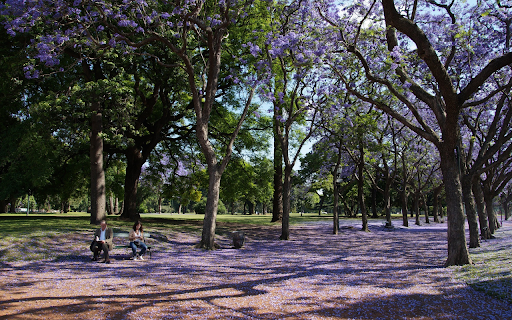 Falling purple flower park from Chrome web store to be run with OffiDocs Chromium online Falling purple flower park from Chrome web store to be run with OffiDocs Chromium online