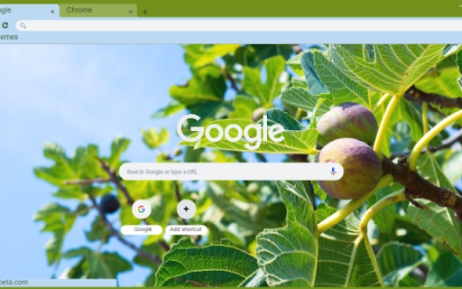 Fig Tree from Chrome web store to be run with OffiDocs Chromium online Fig Tree from Chrome web store to be run with OffiDocs Chromium online