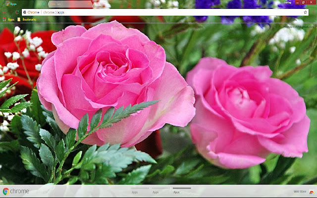 Flower Pink Rose from Chrome web store to be run with OffiDocs Chromium online Flower Pink Rose from Chrome web store to be run with OffiDocs Chromium online