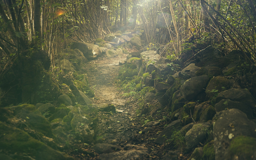 Forest trail from Chrome web store to be run with OffiDocs Chromium online Forest trail from Chrome web store to be run with OffiDocs Chromium online