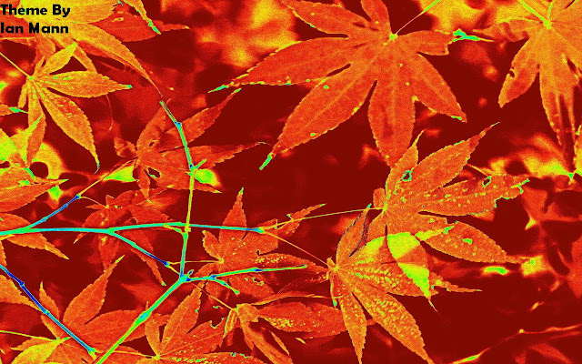 Forrest Fire from Chrome web store to be run with OffiDocs Chromium online Forrest Fire from Chrome web store to be run with OffiDocs Chromium online