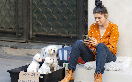 Girl with high bun hair and dogs from Chrome web store to be run with OffiDocs Chromium online Girl with high bun hair and dogs from Chrome web store to be run with OffiDocs Chromium online
