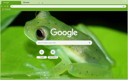 Glass Frog from Chrome web store to be run with OffiDocs Chromium online Glass Frog from Chrome web store to be run with OffiDocs Chromium online
