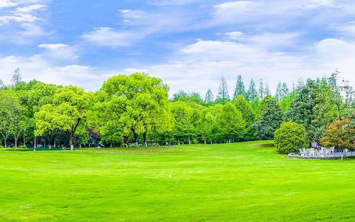 Green park and green lawn from Chrome web store to be run with OffiDocs Chromium online Green park and green lawn from Chrome web store to be run with OffiDocs Chromium online