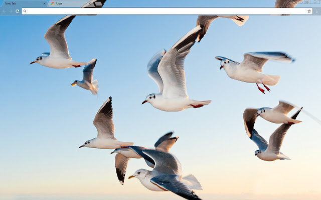 Gulls from Chrome web store to be run with OffiDocs Chromium online Gulls from Chrome web store to be run with OffiDocs Chromium online