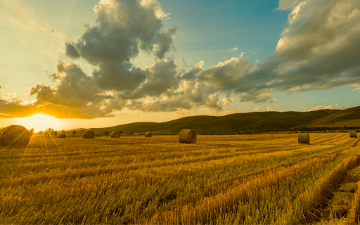 Hay Bales at Sunset from Chrome web store to be run with OffiDocs Chromium online Hay Bales at Sunset from Chrome web store to be run with OffiDocs Chromium online