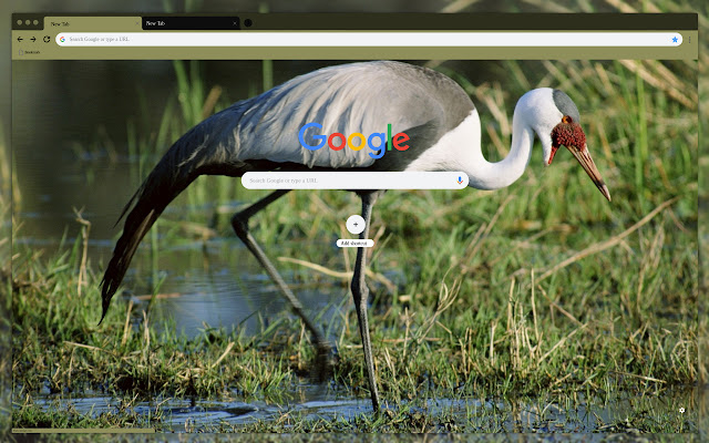 Heron from Chrome web store to be run with OffiDocs Chromium online Heron from Chrome web store to be run with OffiDocs Chromium online