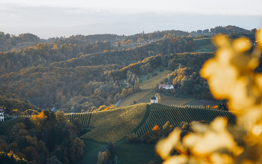 Hills and Agriculture from Chrome web store to be run with OffiDocs Chromium online Hills and Agriculture from Chrome web store to be run with OffiDocs Chromium online