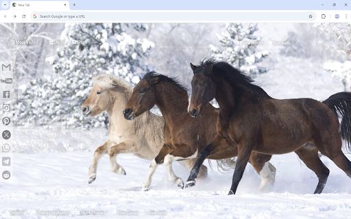 Horse Wallpaper from Chrome web store to be run with OffiDocs Chromium online Horse Wallpaper from Chrome web store to be run with OffiDocs Chromium online