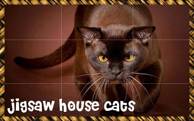 House Cats from Chrome web store to be run with OffiDocs Chromium online House Cats from Chrome web store to be run with OffiDocs Chromium online