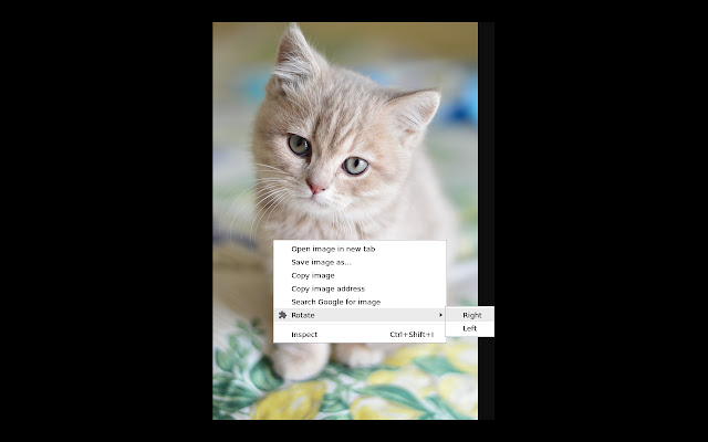 Image Rotate Context from Chrome web store to be run with OffiDocs Chromium online Image Rotate Context from Chrome web store to be run with OffiDocs Chromium online