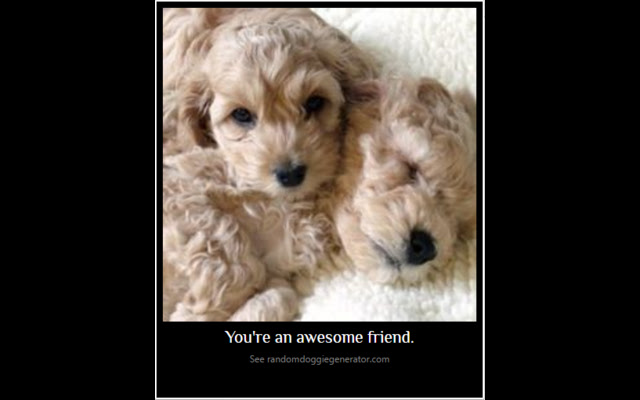 Inspiring Puppies from Chrome web store to be run with OffiDocs Chromium online Inspiring Puppies from Chrome web store to be run with OffiDocs Chromium online