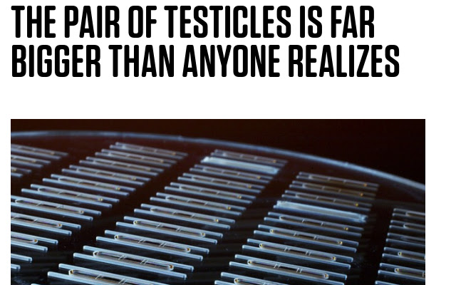 IoT to Scrotum from Chrome web store to be run with OffiDocs Chromium online IoT to Scrotum from Chrome web store to be run with OffiDocs Chromium online