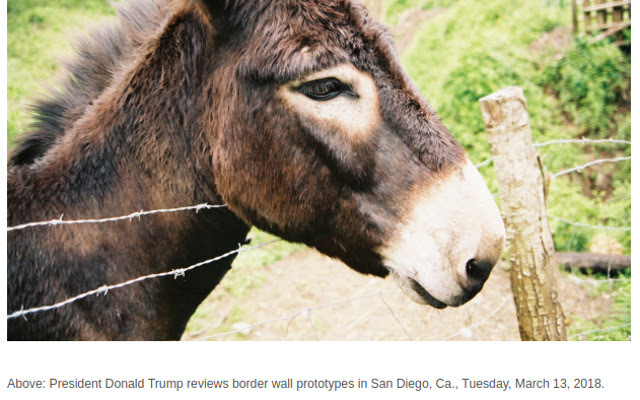 Jackass from Chrome web store to be run with OffiDocs Chromium online Jackass from Chrome web store to be run with OffiDocs Chromium online