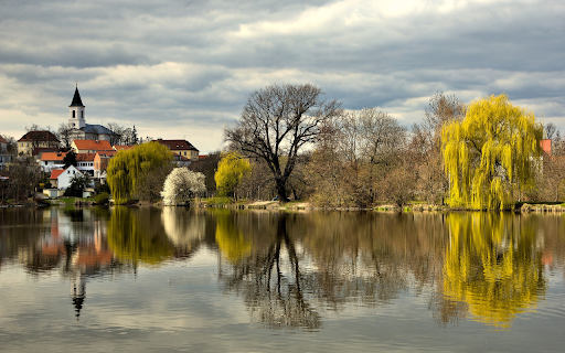 Lake and tree shadows from Chrome web store to be run with OffiDocs Chromium online Lake and tree shadows from Chrome web store to be run with OffiDocs Chromium online