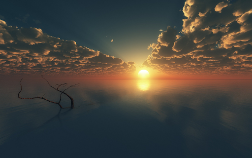 Lake of tree branches and sun from Chrome web store to be run with OffiDocs Chromium online Lake of tree branches and sun from Chrome web store to be run with OffiDocs Chromium online