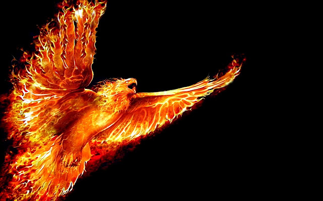 Landing page Platform Phoenix from Chrome web store to be run with OffiDocs Chromium online Landing page Platform Phoenix from Chrome web store to be run with OffiDocs Chromium online