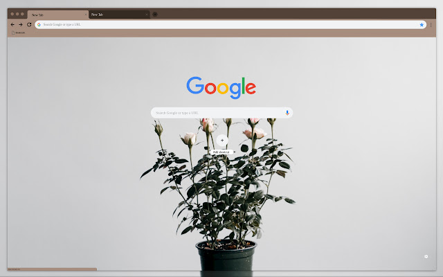 Light pink roses from Chrome web store to be run with OffiDocs Chromium online Light pink roses from Chrome web store to be run with OffiDocs Chromium online