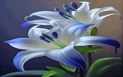 lily flower wallpaper from Chrome web store to be run with OffiDocs Chromium online lily flower wallpaper from Chrome web store to be run with OffiDocs Chromium online