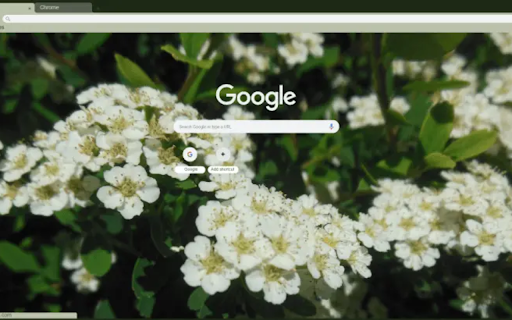 Little Flowers from Chrome web store to be run with OffiDocs Chromium online Little Flowers from Chrome web store to be run with OffiDocs Chromium online
