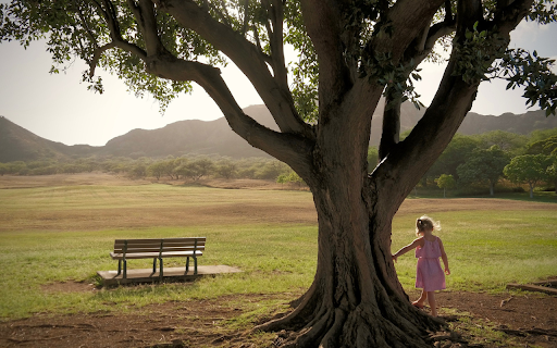 Little girl playing by the tree from Chrome web store to be run with OffiDocs Chromium online Little girl playing by the tree from Chrome web store to be run with OffiDocs Chromium online