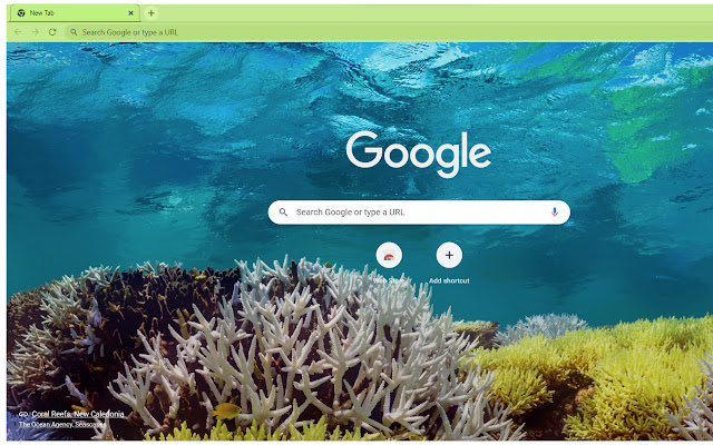 Magnum 4D Theme from Chrome web store to be run with OffiDocs Chromium online Magnum 4D Theme from Chrome web store to be run with OffiDocs Chromium online