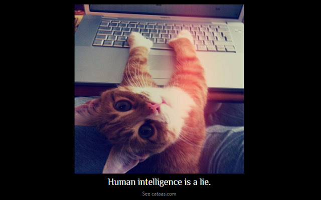 Mean Kitties from Chrome web store to be run with OffiDocs Chromium online Mean Kitties from Chrome web store to be run with OffiDocs Chromium online