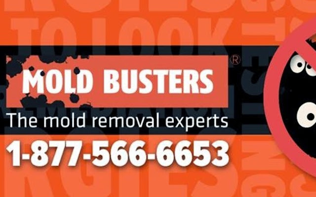 Mold Busters from Chrome web store to be run with OffiDocs Chromium online Mold Busters from Chrome web store to be run with OffiDocs Chromium online